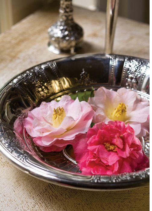 Pink roses in silver bowl